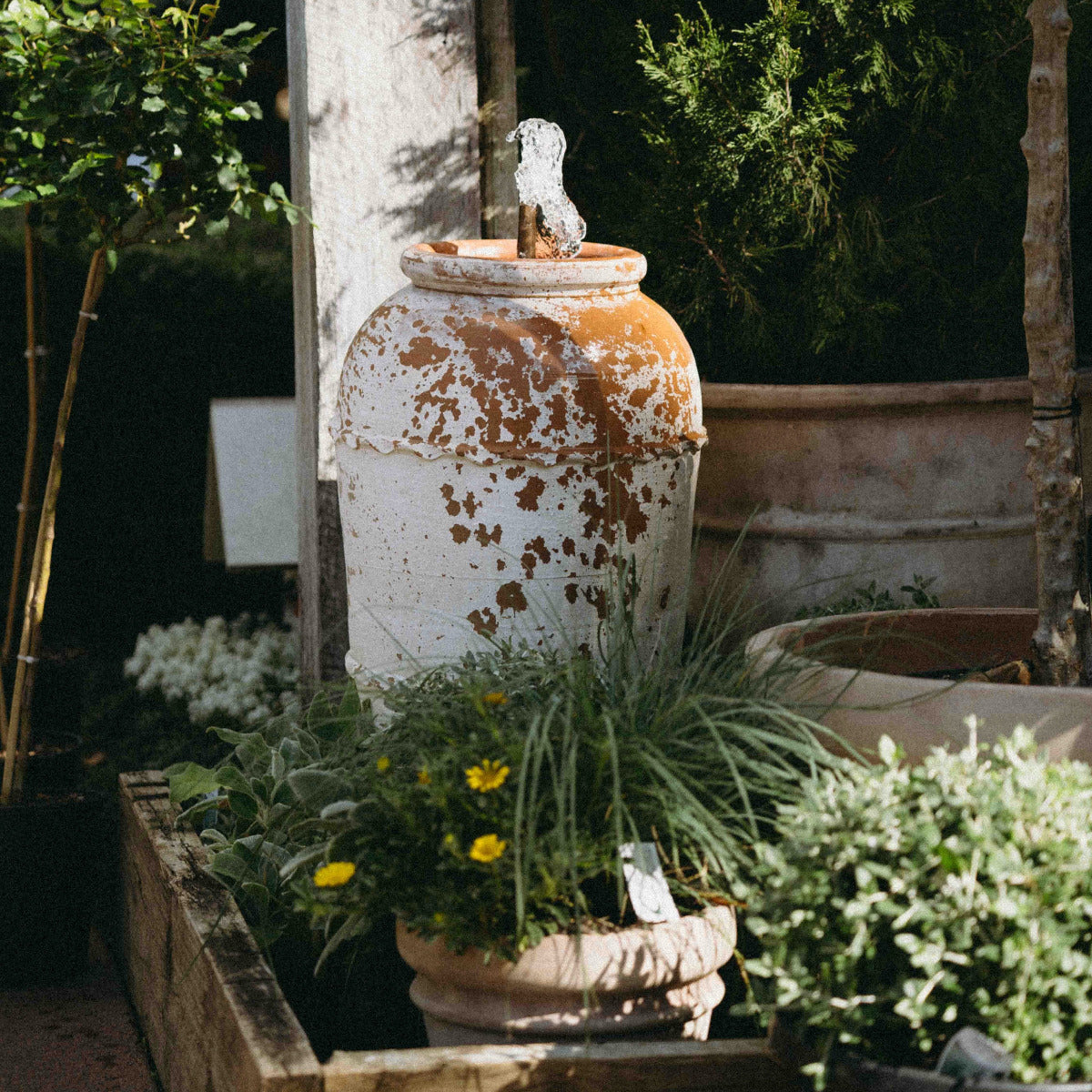 A rustic white ceramic planter pot with a heavily distressed, rusted brown finish, featuring a small white bird figurine on top. The pot is styled outdoors in a garden bed with green foliage, small yellow flowers, and other potted plants.