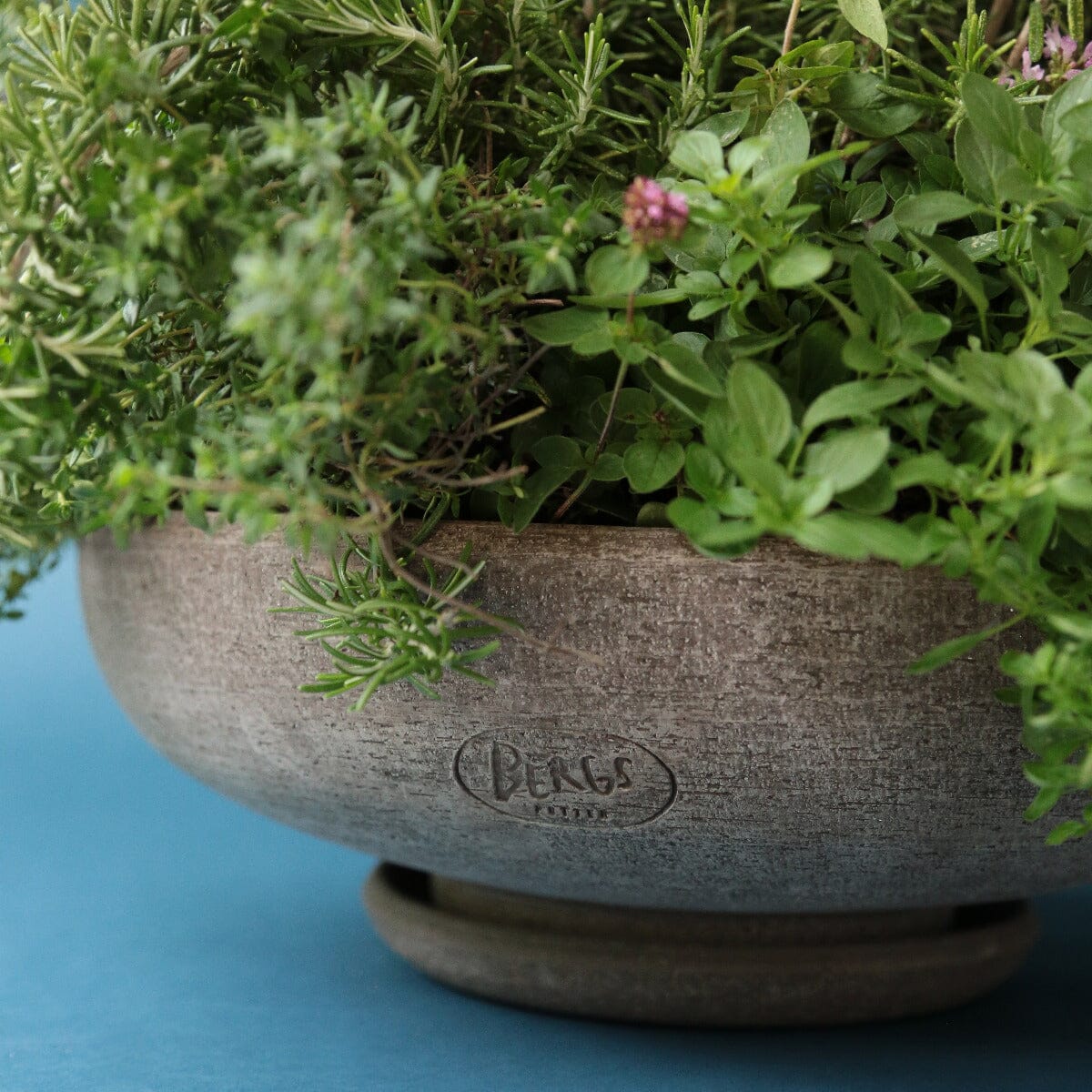 Ada Grey Bowl and Saucer Set Pots - Berg Berg