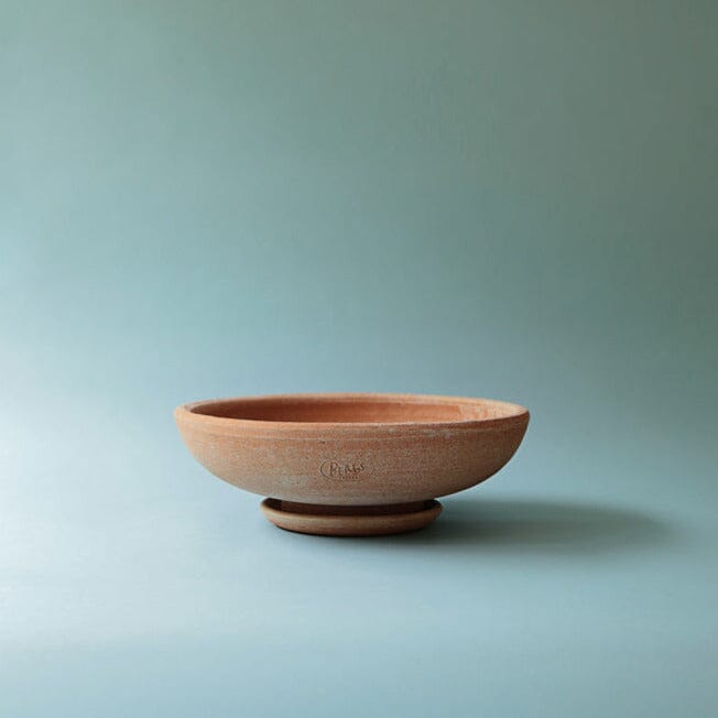 Ada Rosa Bowl and Saucer Set Pots - Berg Berg