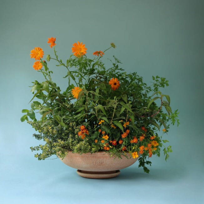 Ada Rosa Bowl and Saucer Set Pots - Berg Berg