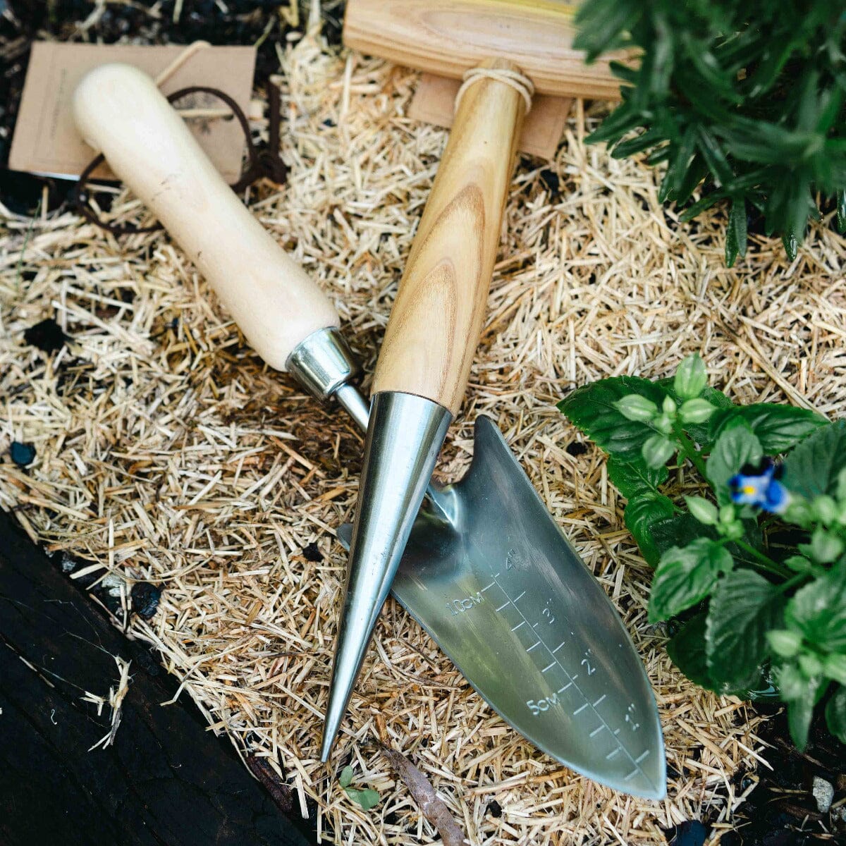 Ashwood Dibbler Hardware - Tools Brookfield Gardens