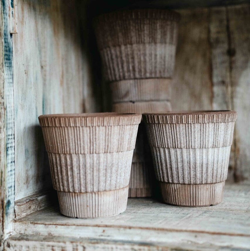 Atlas Grey inc Saucer Pots - Berg Brookfield Gardens