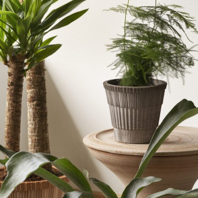 Atlas Grey inc Saucer Pots - Berg Brookfield Gardens