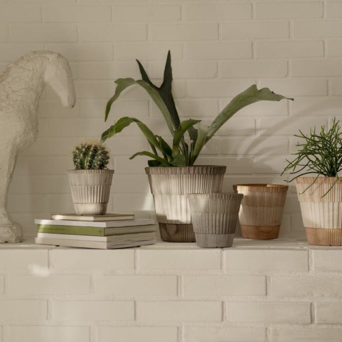 Atlas Grey inc Saucer Pots - Berg Brookfield Gardens