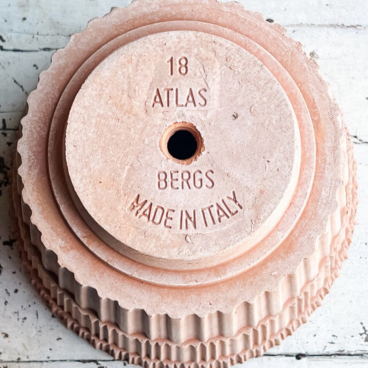 Atlas Rosa inc Saucer Pots - Berg Brookfield Gardens