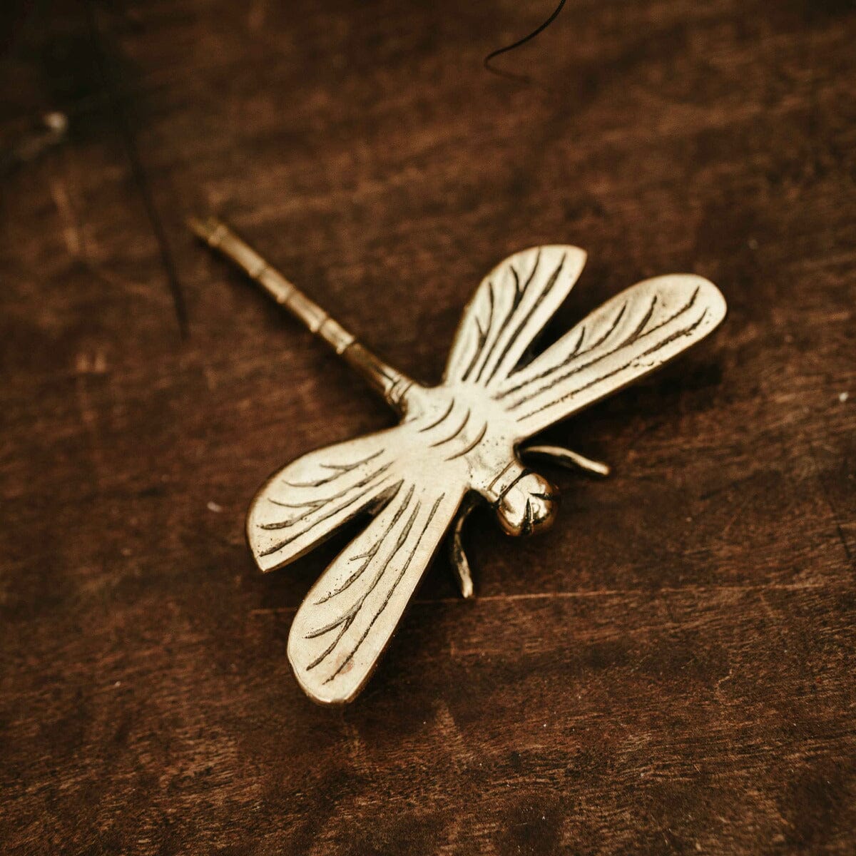 Brass Dragonfly Small Gift - Ornaments Brookfield Gardens