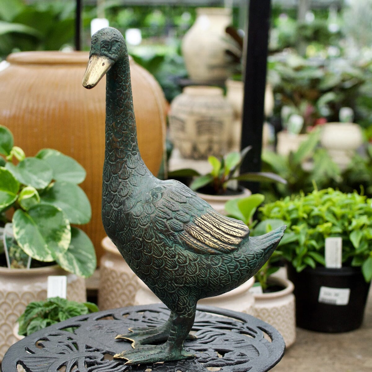 Brass Duck Tall - Right Gift - Ornaments Brookfield Gardens