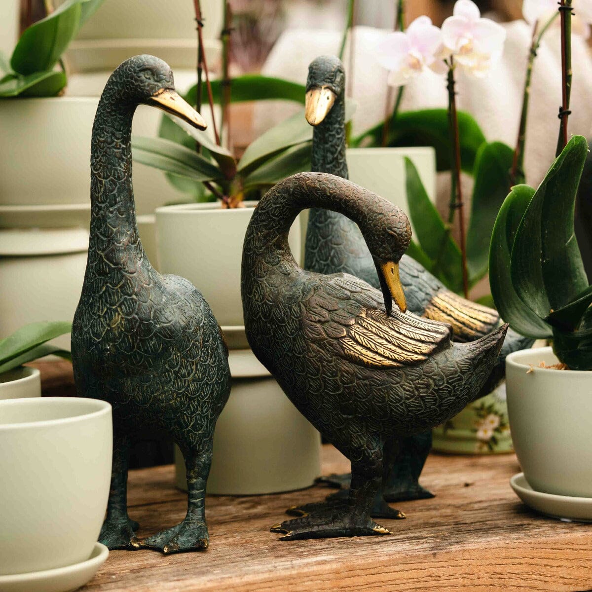 Brass Duck Tall - Right Gift - Ornaments Brookfield Gardens
