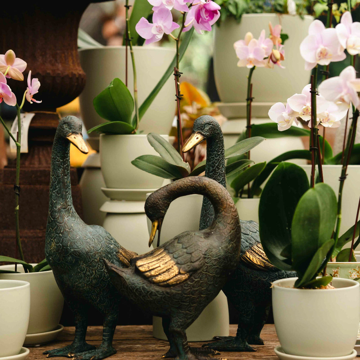 Brass Duck Tall - Turned Head Gift - Ornaments Brookfield Gardens
