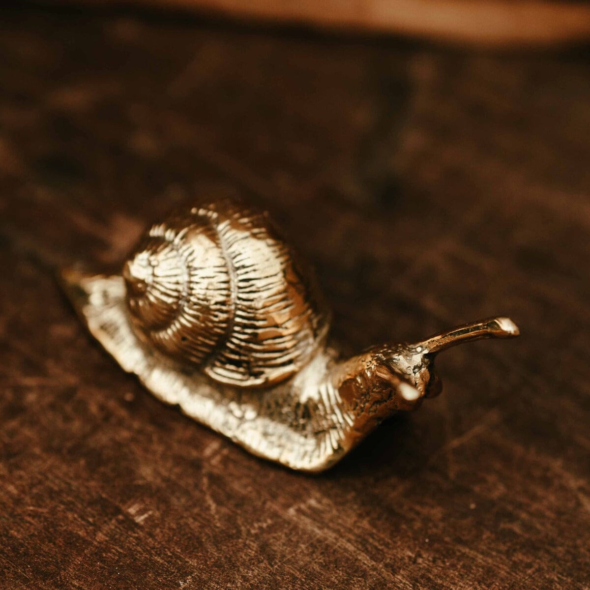 Brass Snail Mini Gift - Ornaments Brookfield Gardens