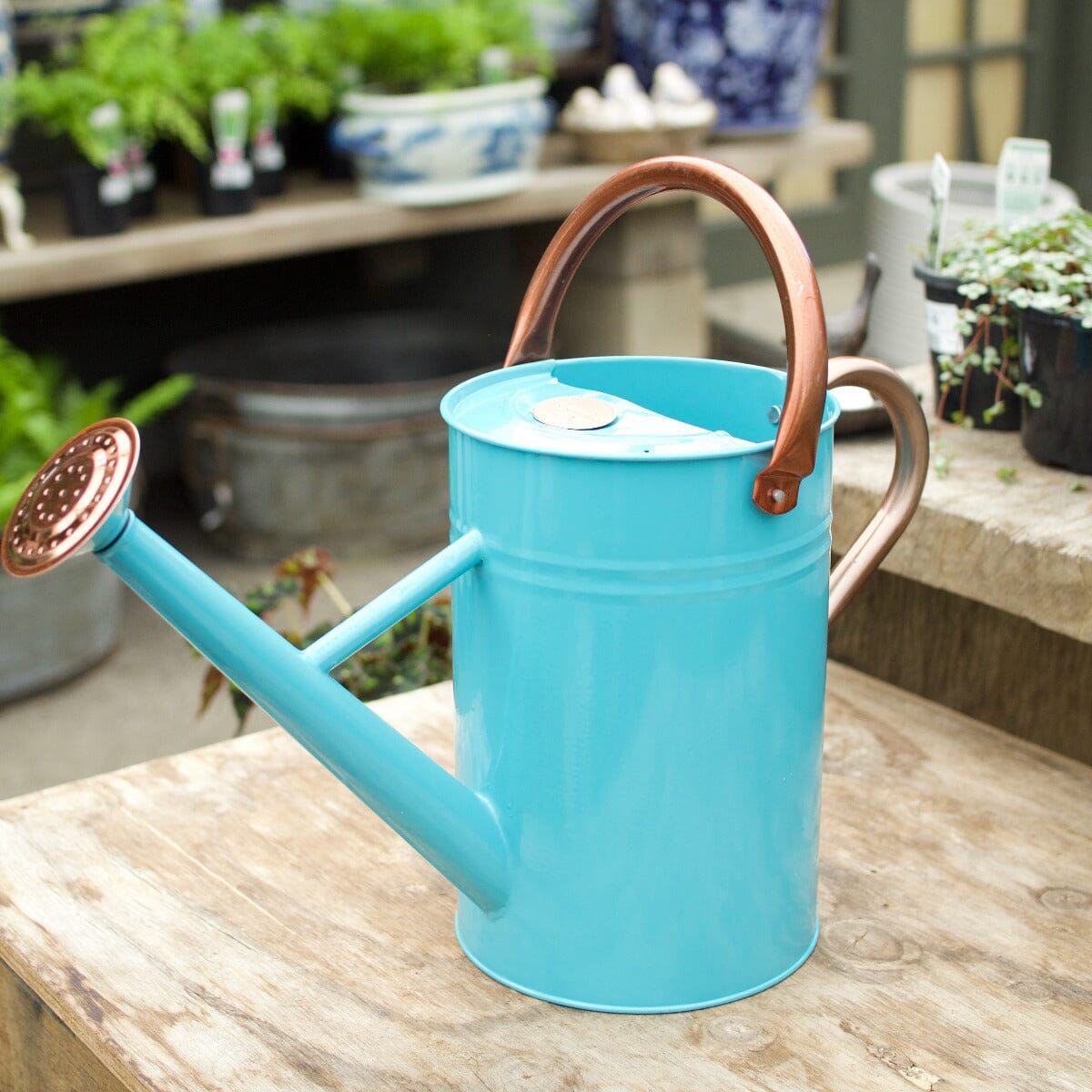 Bright Blue Watering Can 4.5L Hard Ware Brookfield Gardens