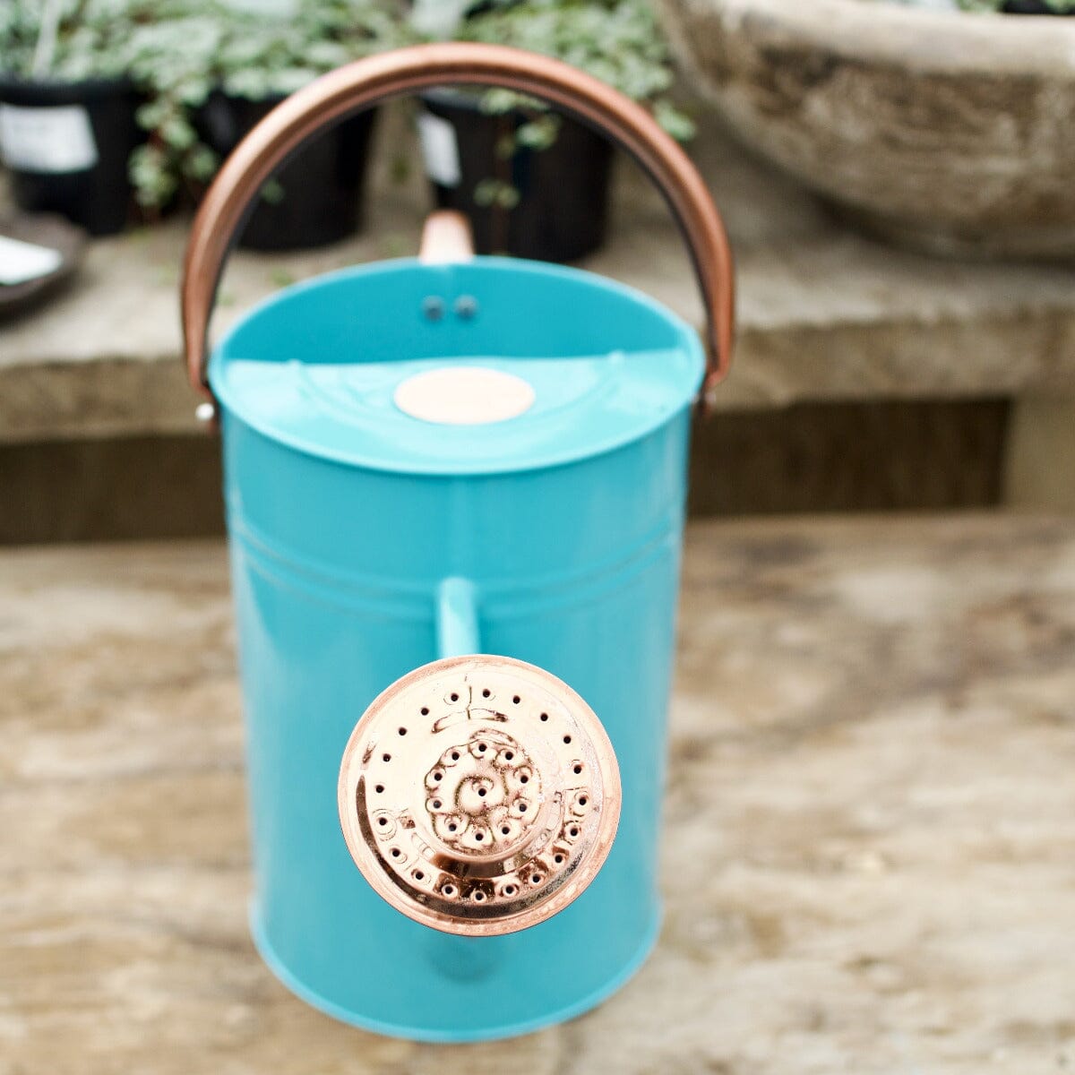 Bright Blue Watering Can 4.5L Hard Ware Brookfield Gardens
