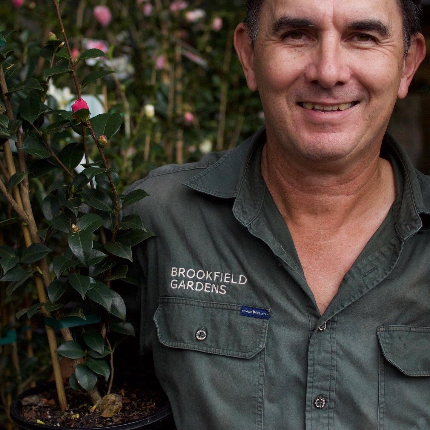 Camellia Workshop *Club Members Only* Workshop Brookfield Gardens