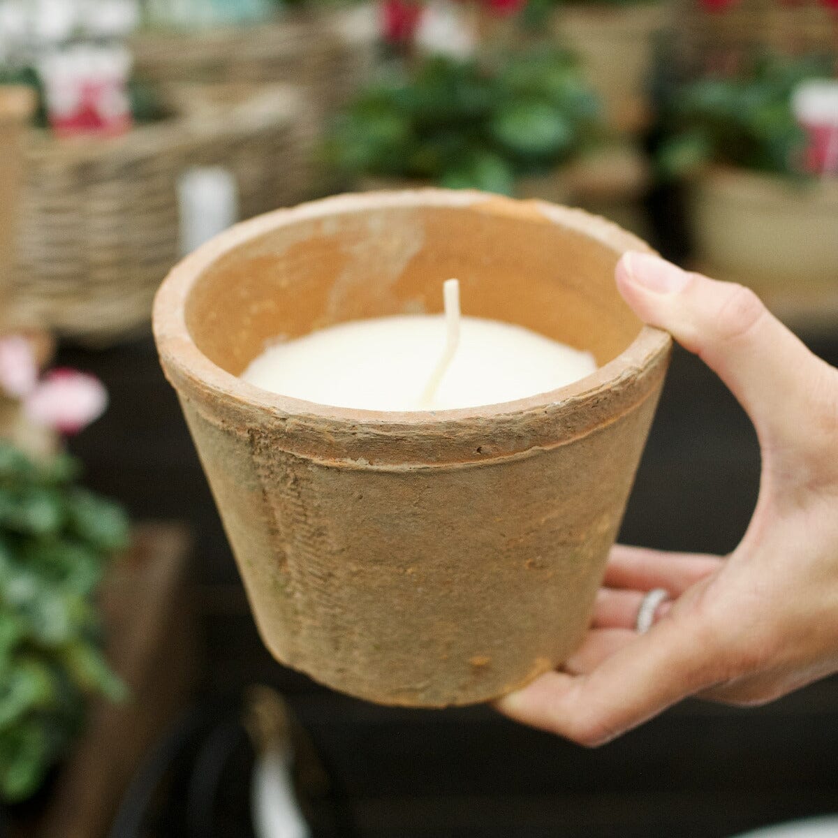 Candela Rustica Pots - Decorator Brookfield Gardens