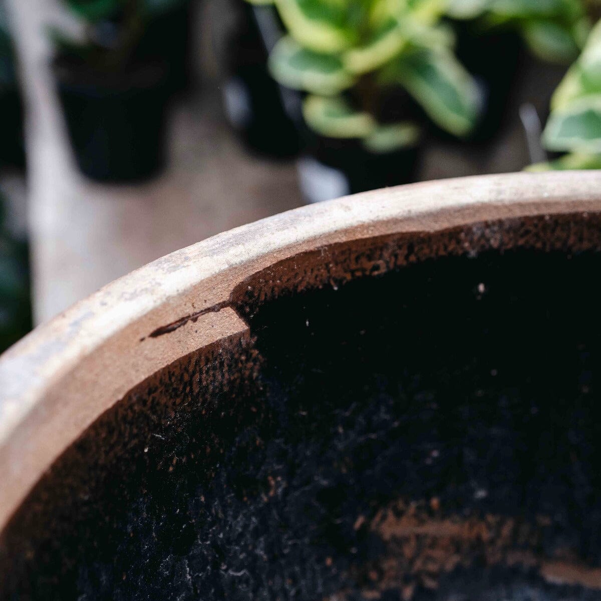Chinese Stone Basin Pots - Decorator Brookfield Gardens