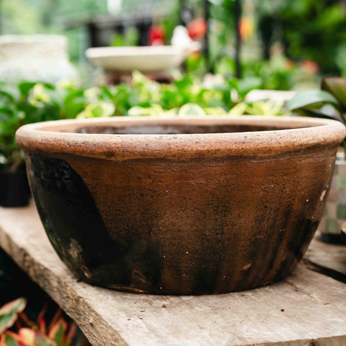 Chinese Stone Basin Pots - Decorator Brookfield Gardens