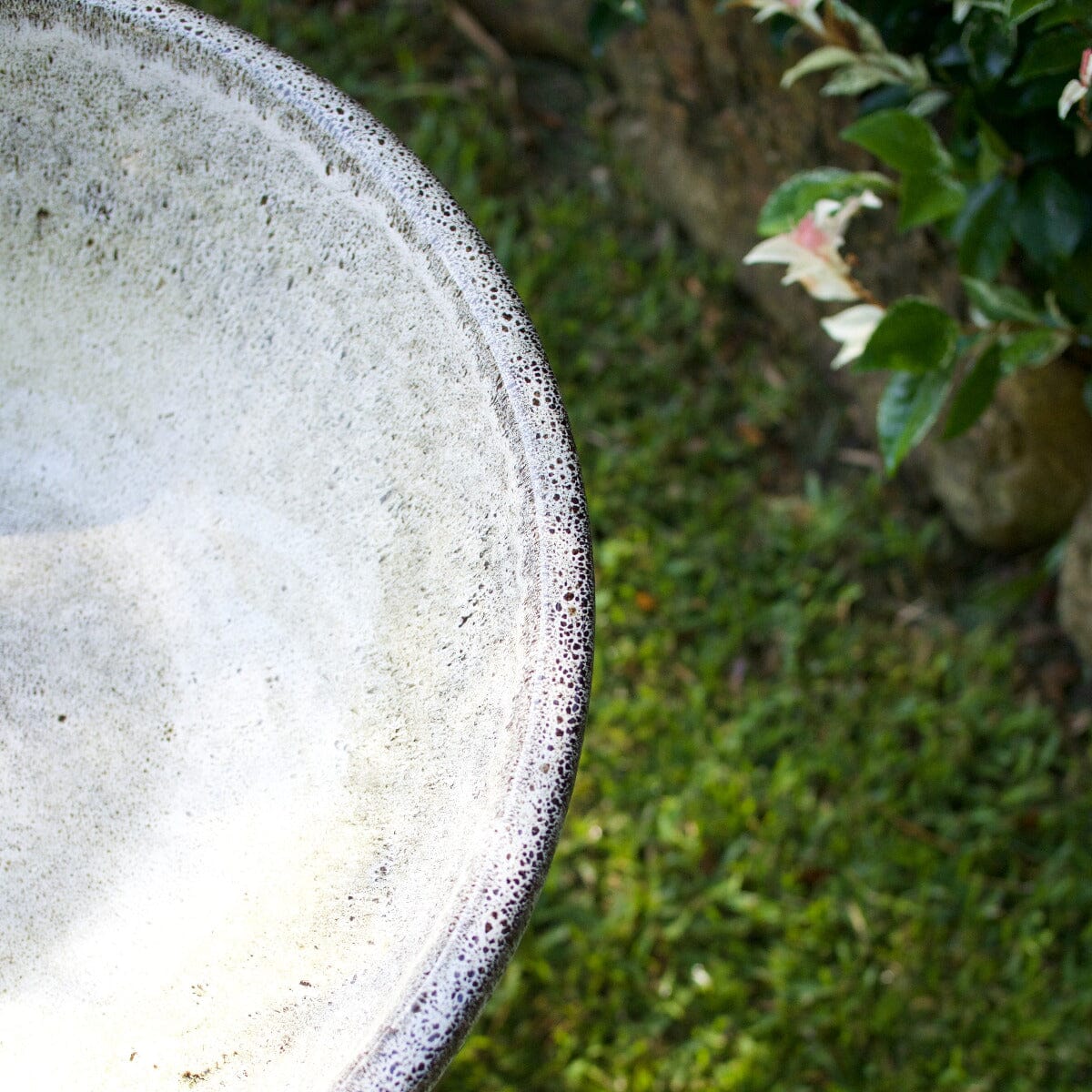 Classic Birdbath Statues / Water features / Bird Bath Garden Club