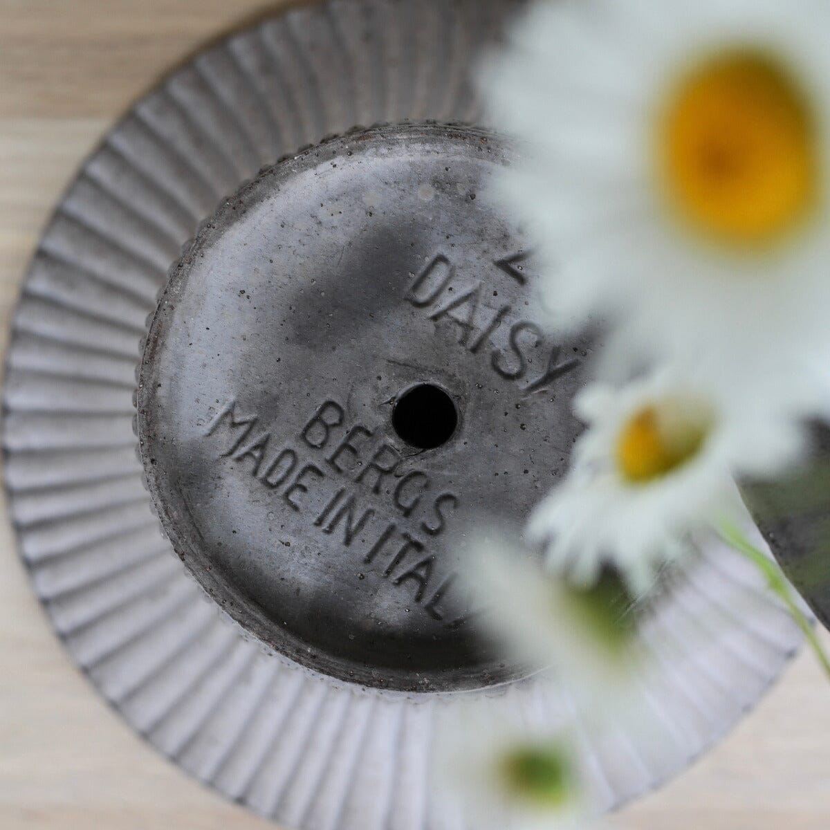 Daisy Grey inc Saucer Pots - Berg Berg