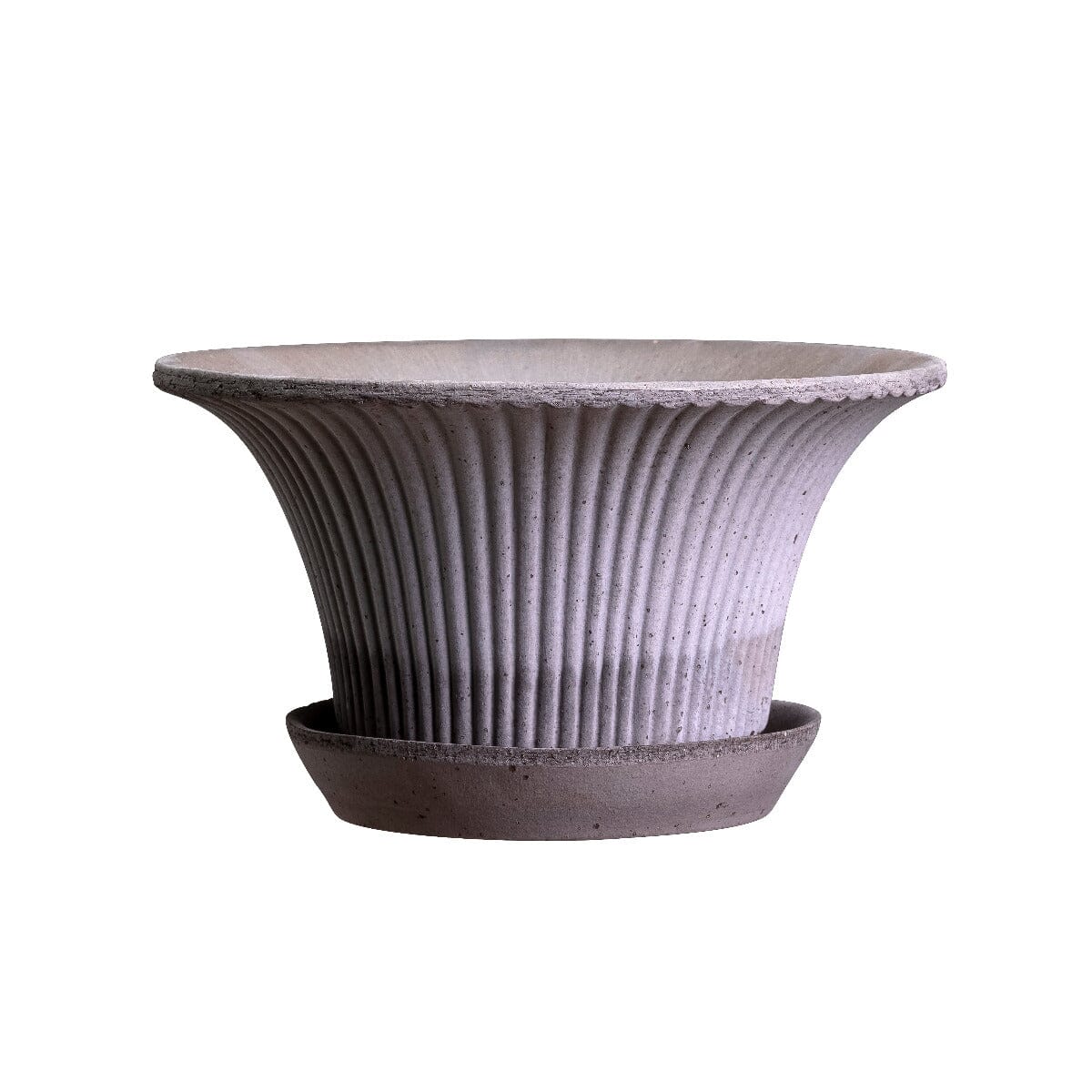 Daisy Grey inc Saucer Pots - Berg Berg