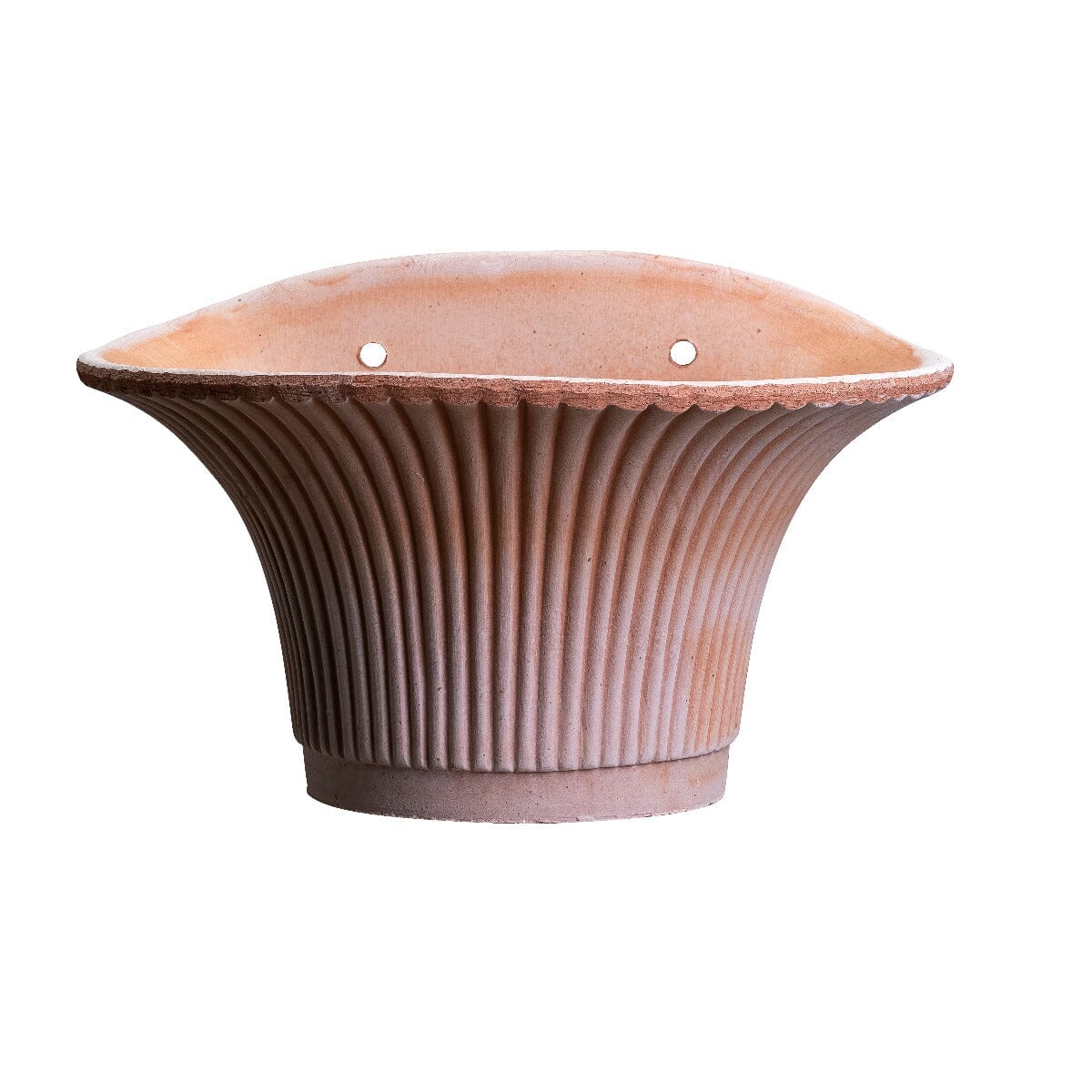 Daisy Rosa Wall Pot Pots - Berg Brookfield Gardens