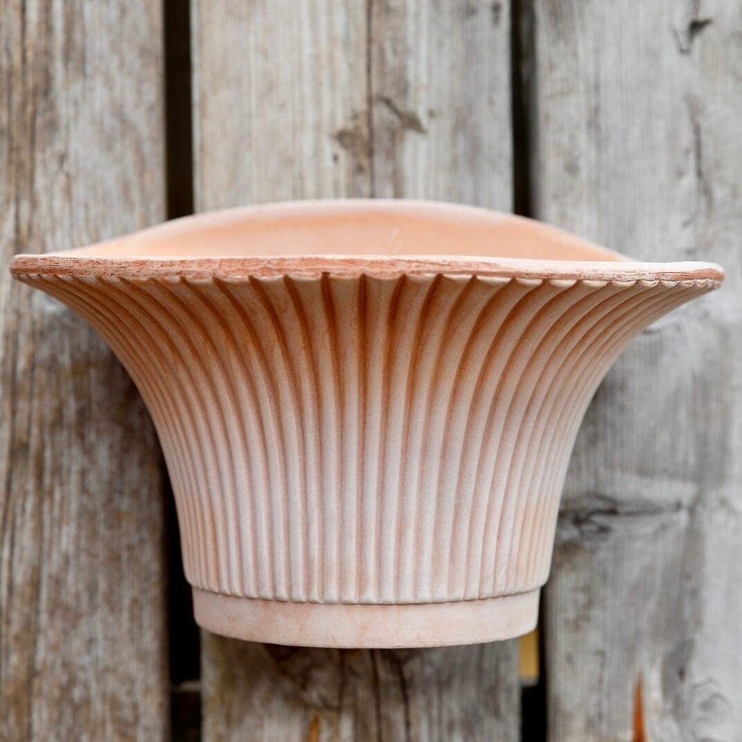 Daisy Rosa Wall Pot Pots - Berg Brookfield Gardens