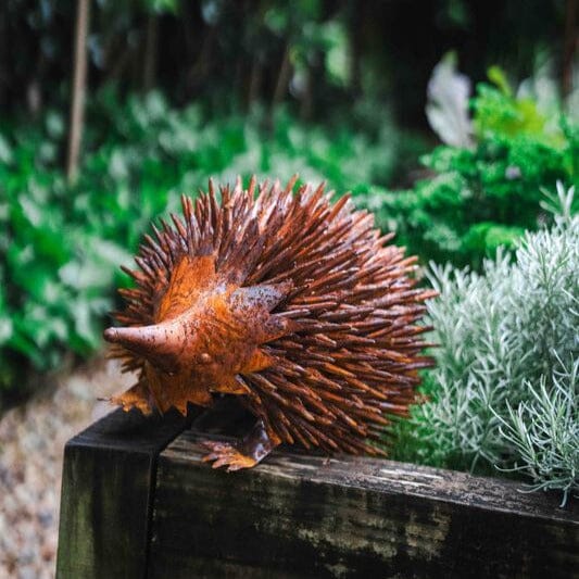 Echidna Rust Garden Art Brookfield Gardens