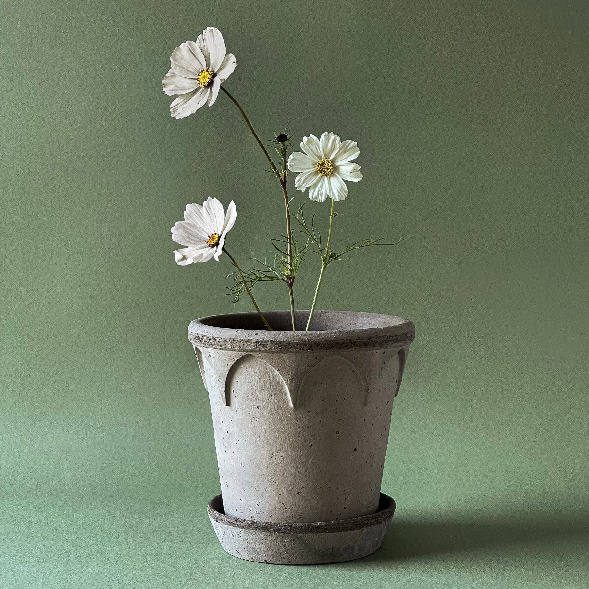 Elizabeth Grey inc saucer Pots - Berg Berg