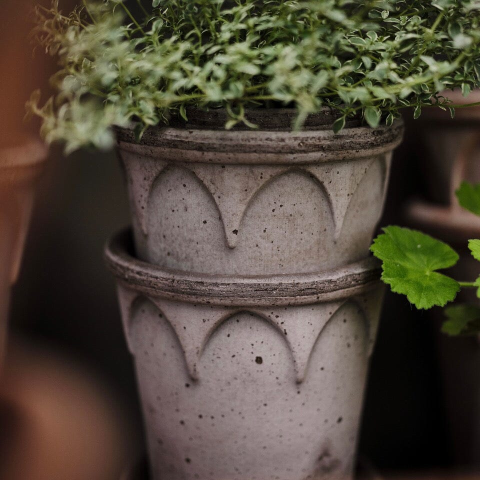 Elizabeth Grey inc saucer Pots - Berg Berg