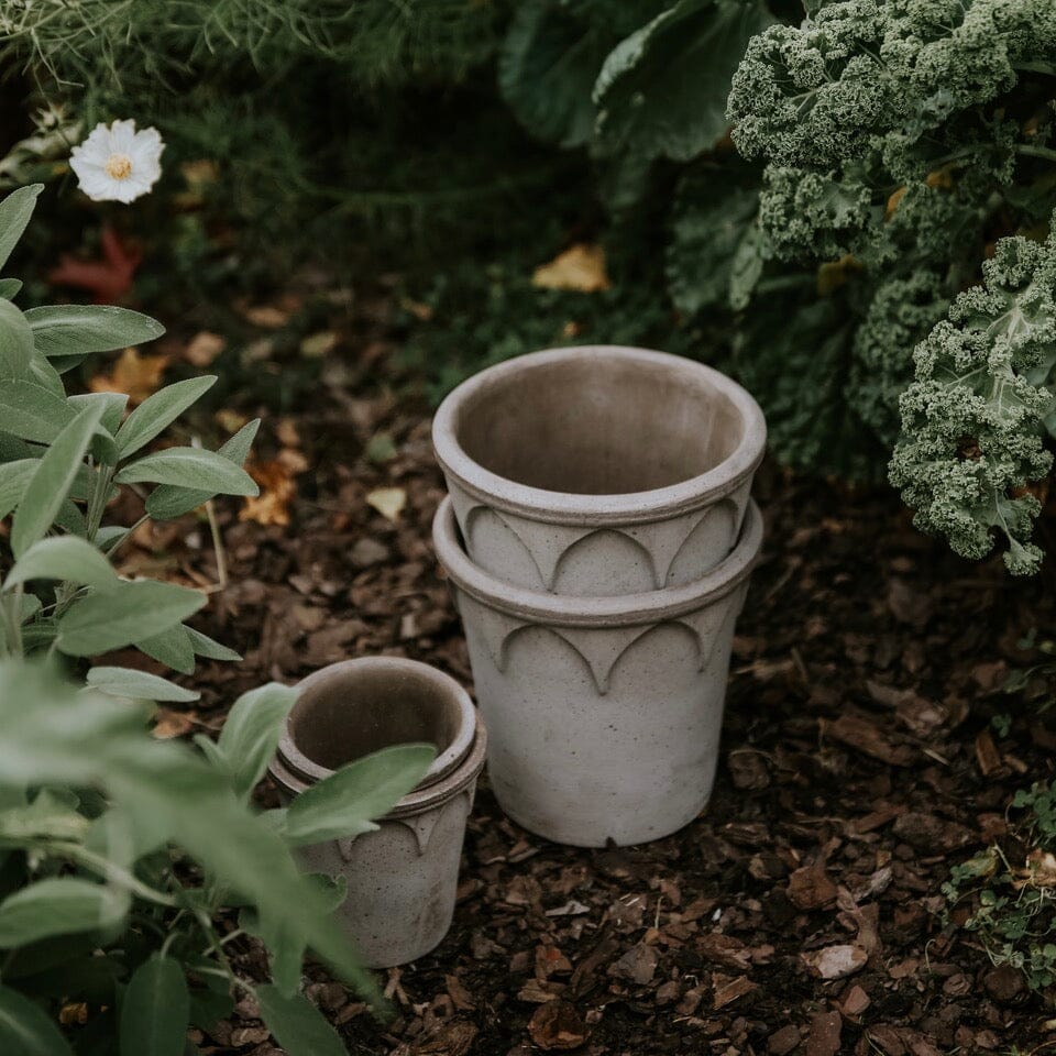 Elizabeth Grey inc saucer Pots - Berg Berg