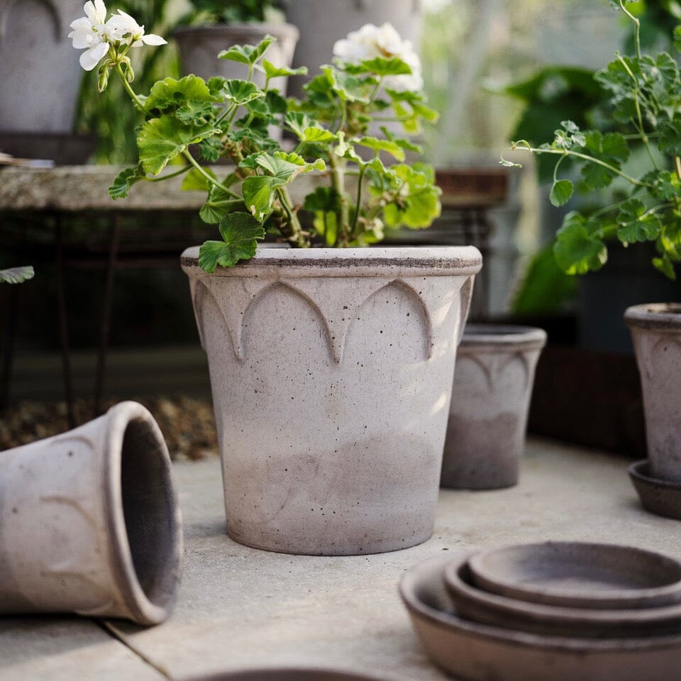 Elizabeth Grey inc saucer Pots - Berg Berg