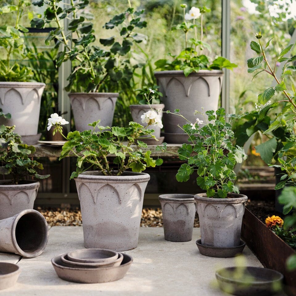 Elizabeth Grey inc saucer Pots - Berg Berg