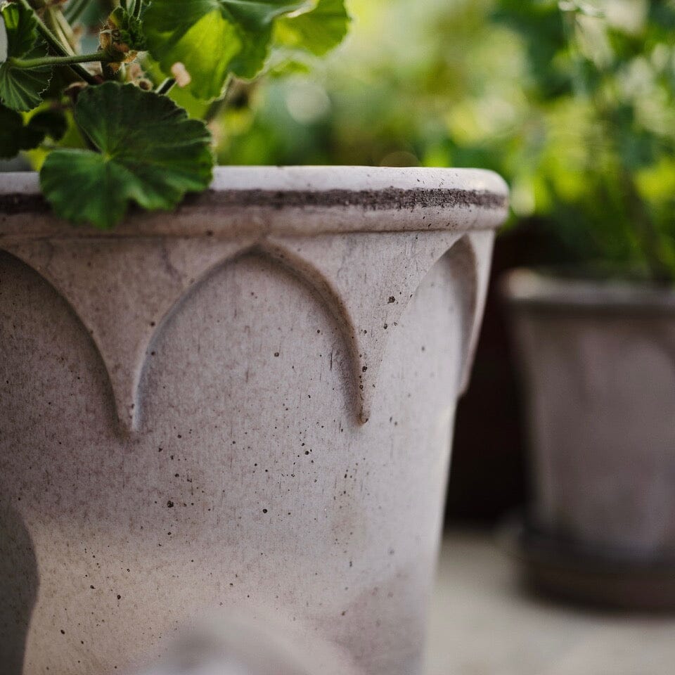 Elizabeth Grey inc saucer Pots - Berg Berg