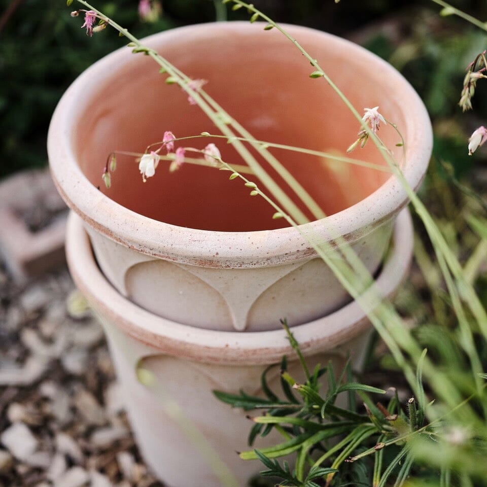 Elizabeth Rosa inc saucer Pots - Berg Berg