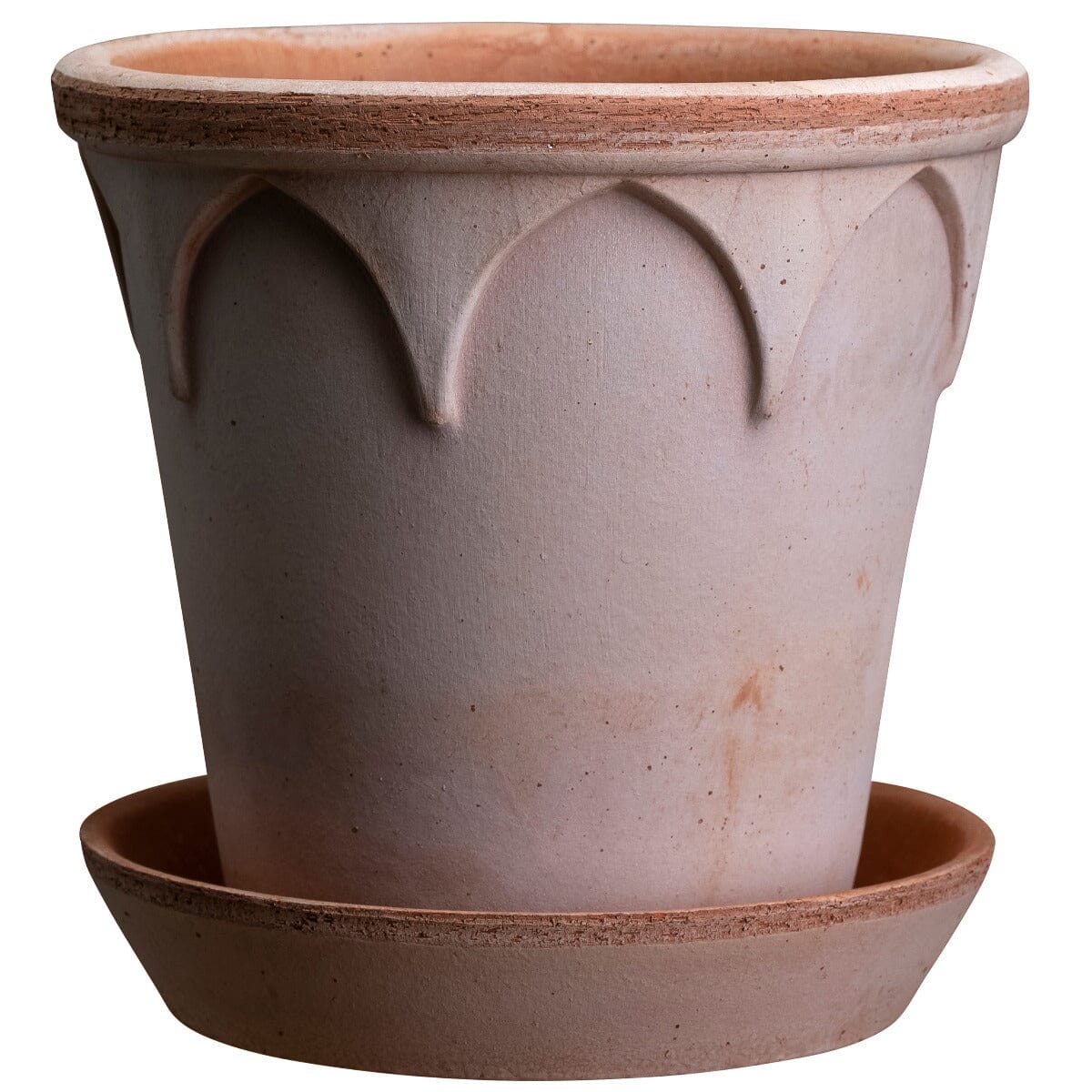 Elizabeth Rosa inc saucer Pots - Berg Berg
