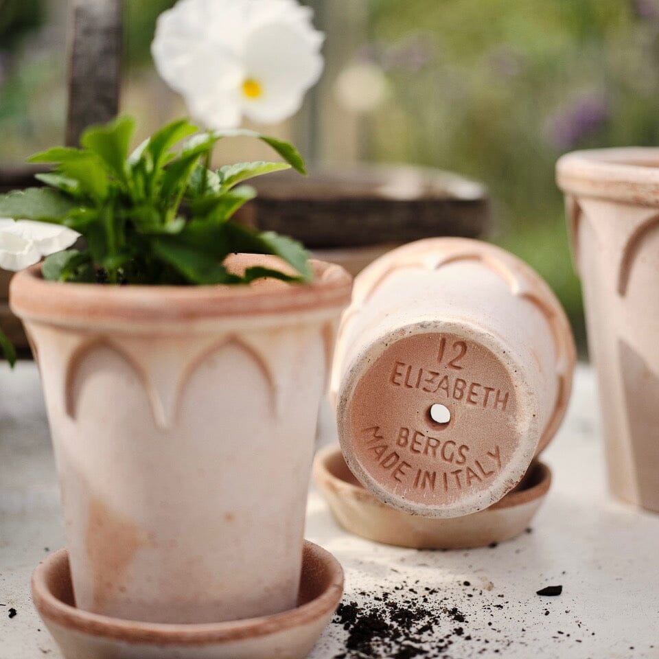 Elizabeth Rosa inc saucer Pots - Berg Berg