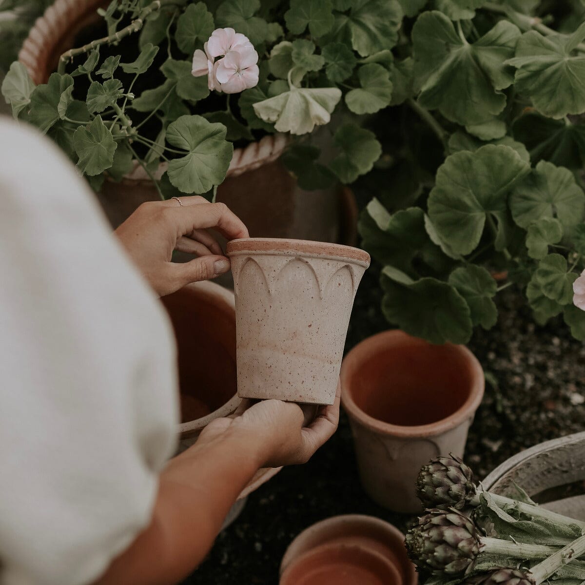 Elizabeth Rosa inc saucer Pots - Berg Berg