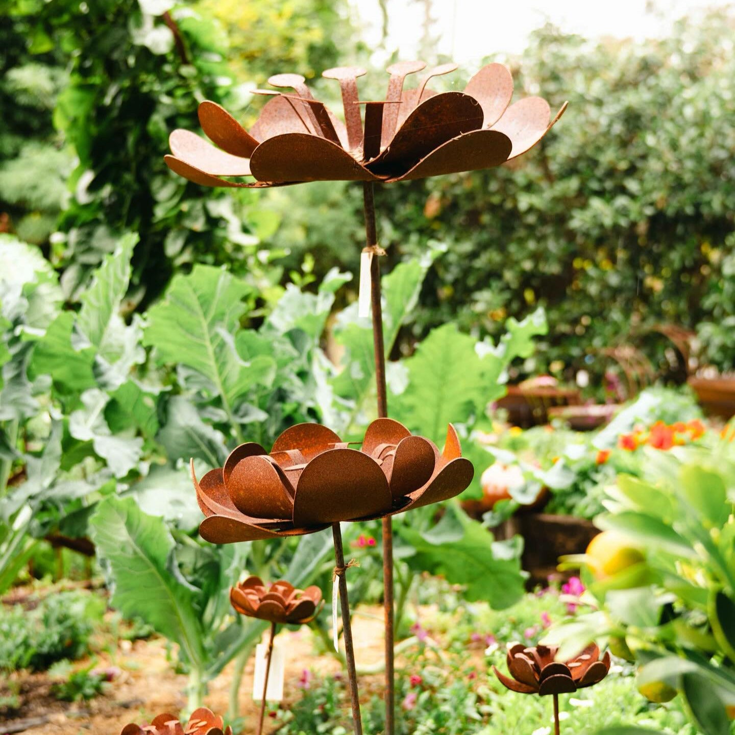 Poppy Sculpture Garden Small
