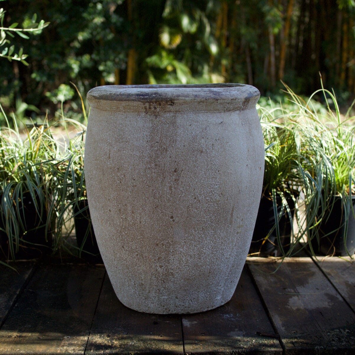 Ganache Olive Jar Pots - Terracotta Brookfield Gardens