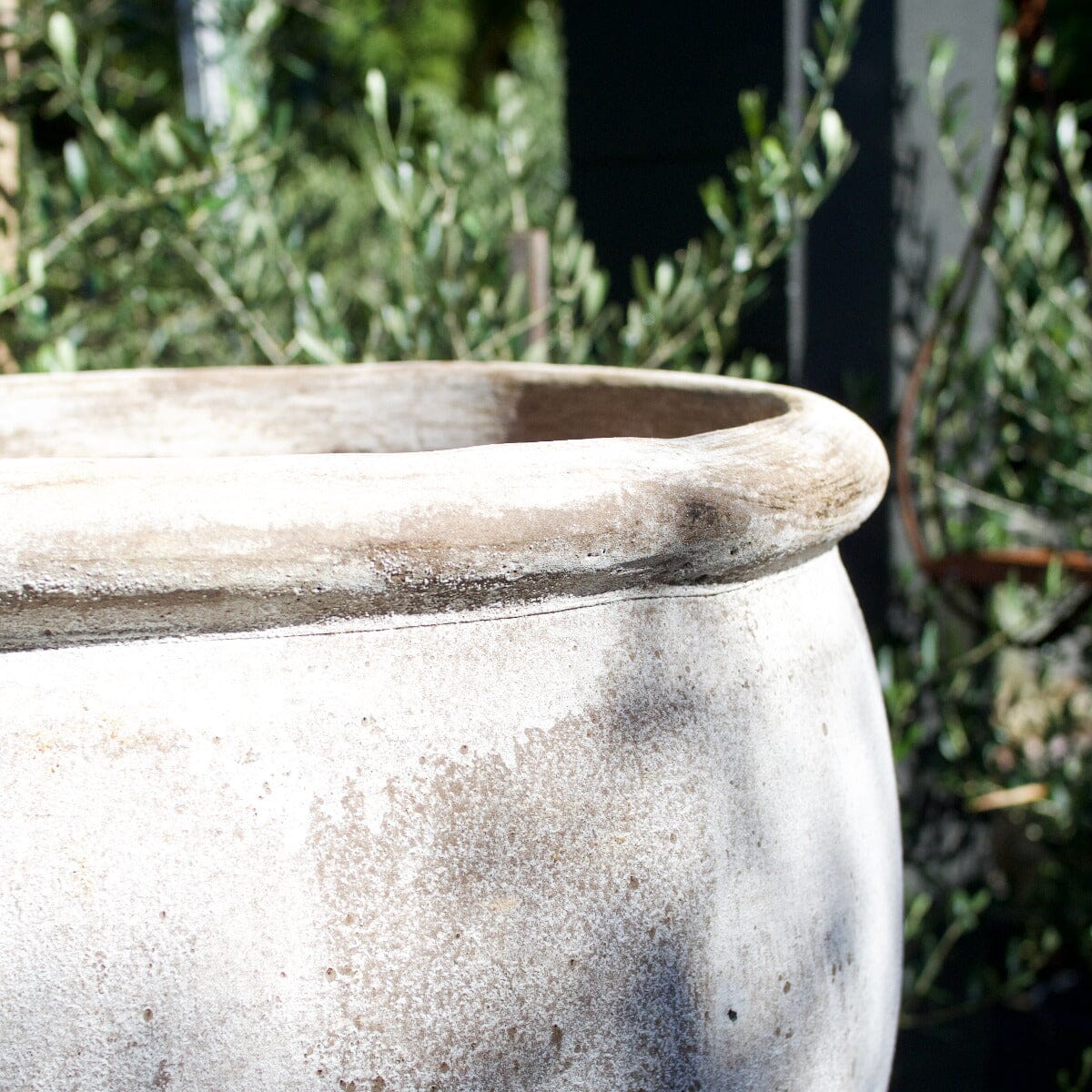 Ganache Olive Jar Pots - Terracotta Brookfield Gardens