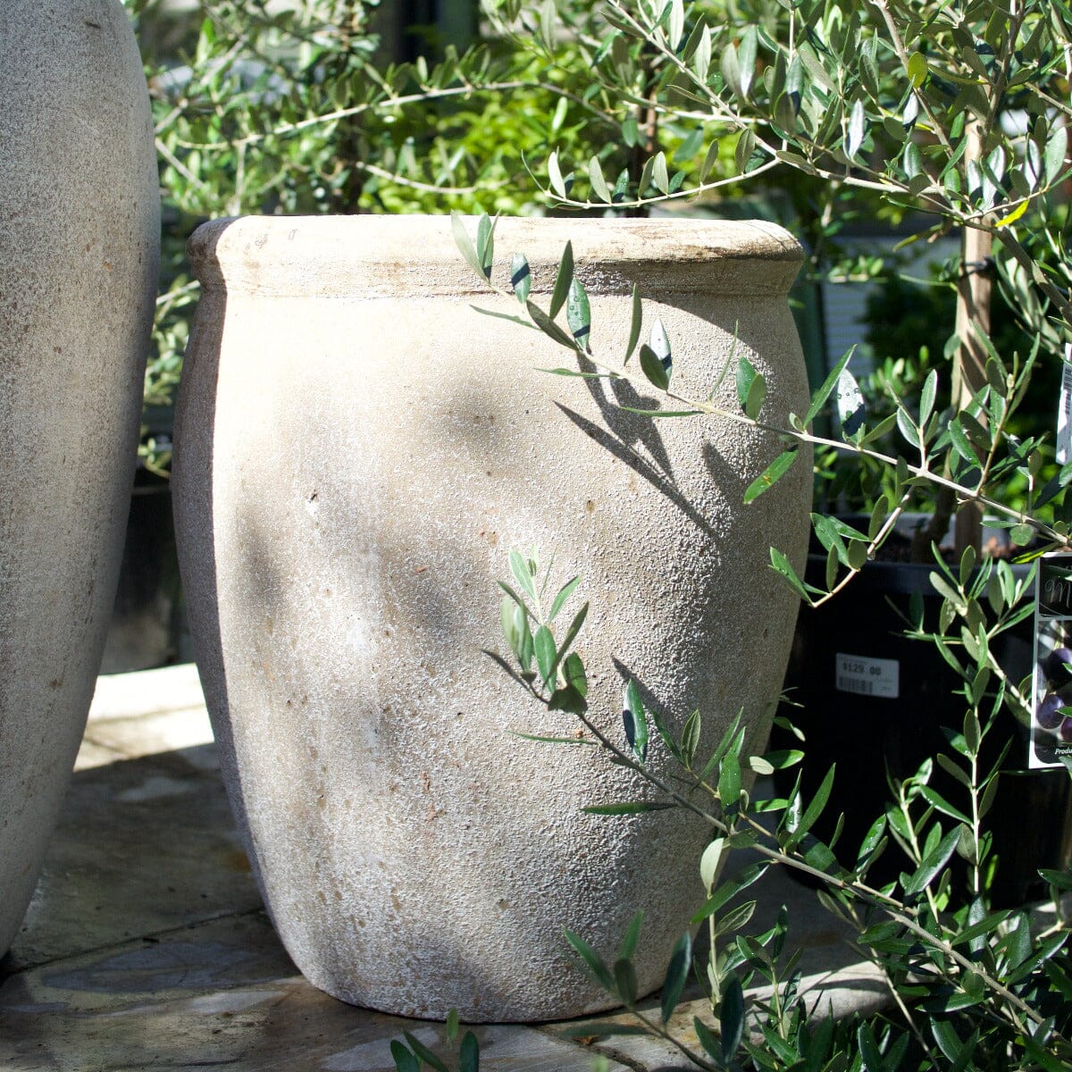Ganache Olive Jar Pots - Terracotta Brookfield Gardens