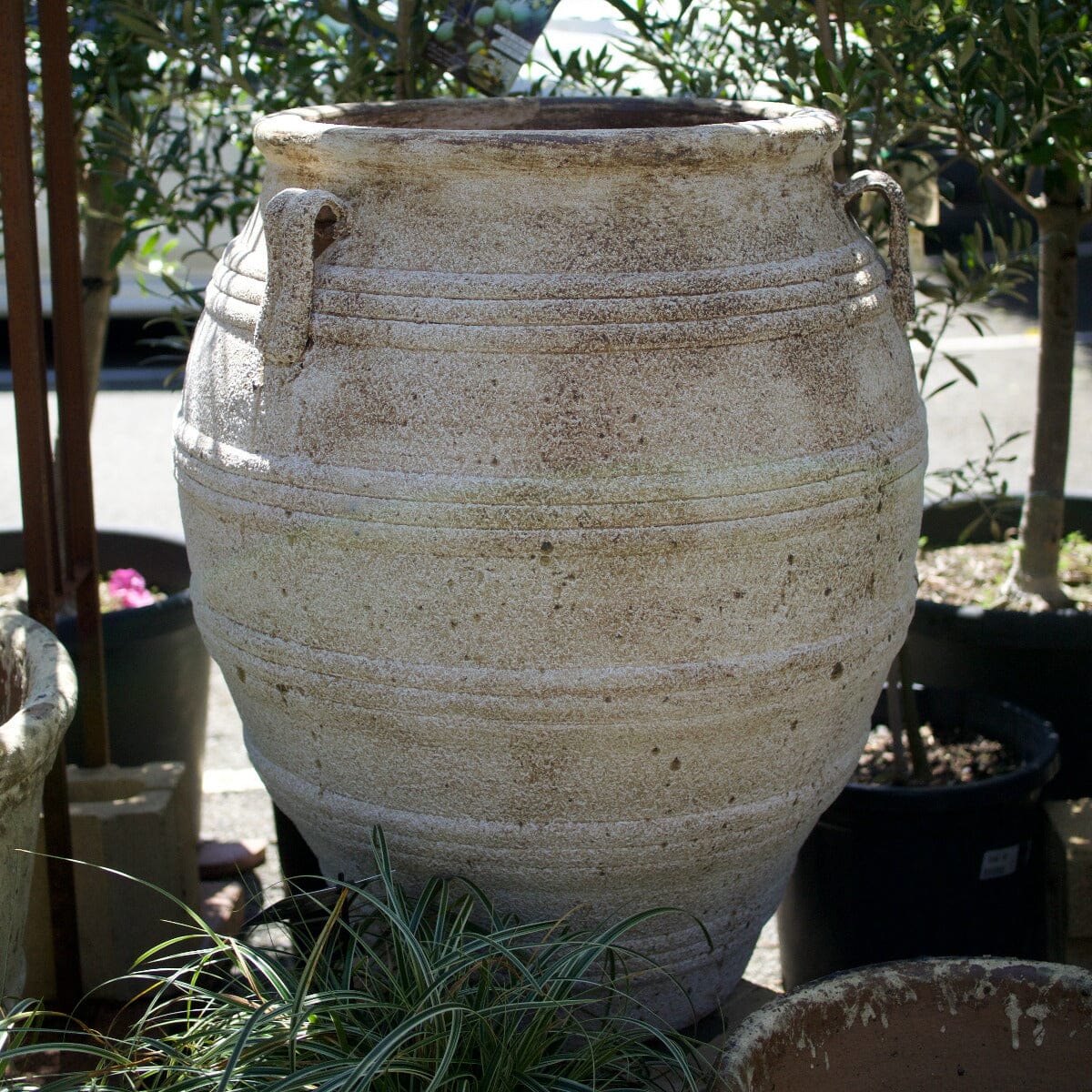 Ganache Urn with Lugs Pots - Terracotta Brookfield Gardens
