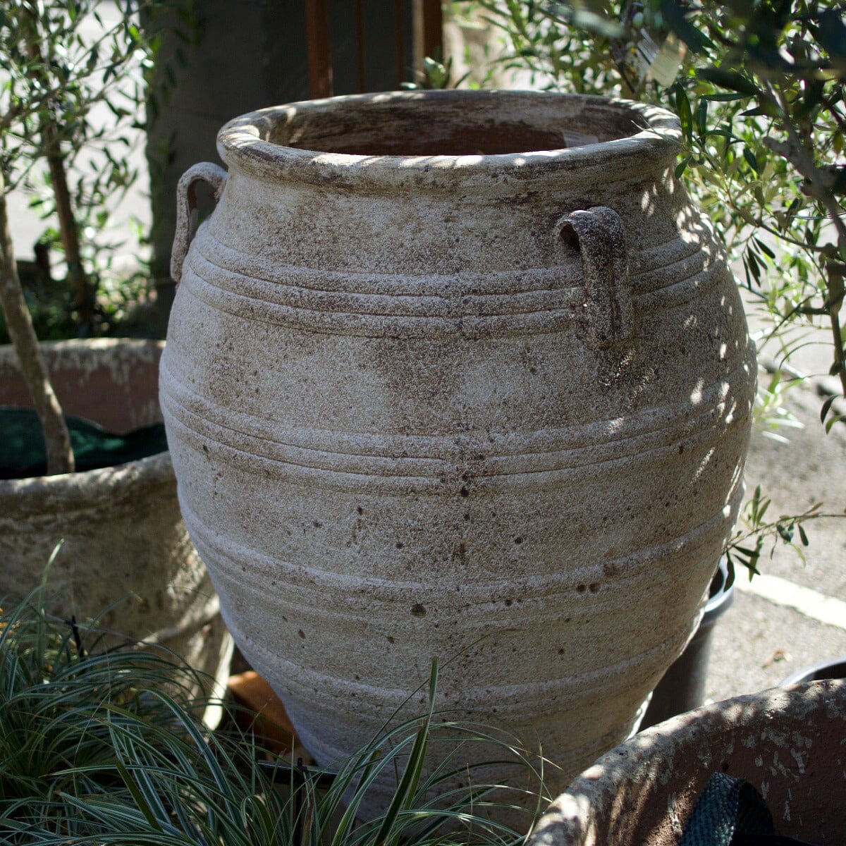 Ganache Urn with Lugs Pots - Terracotta Brookfield Gardens