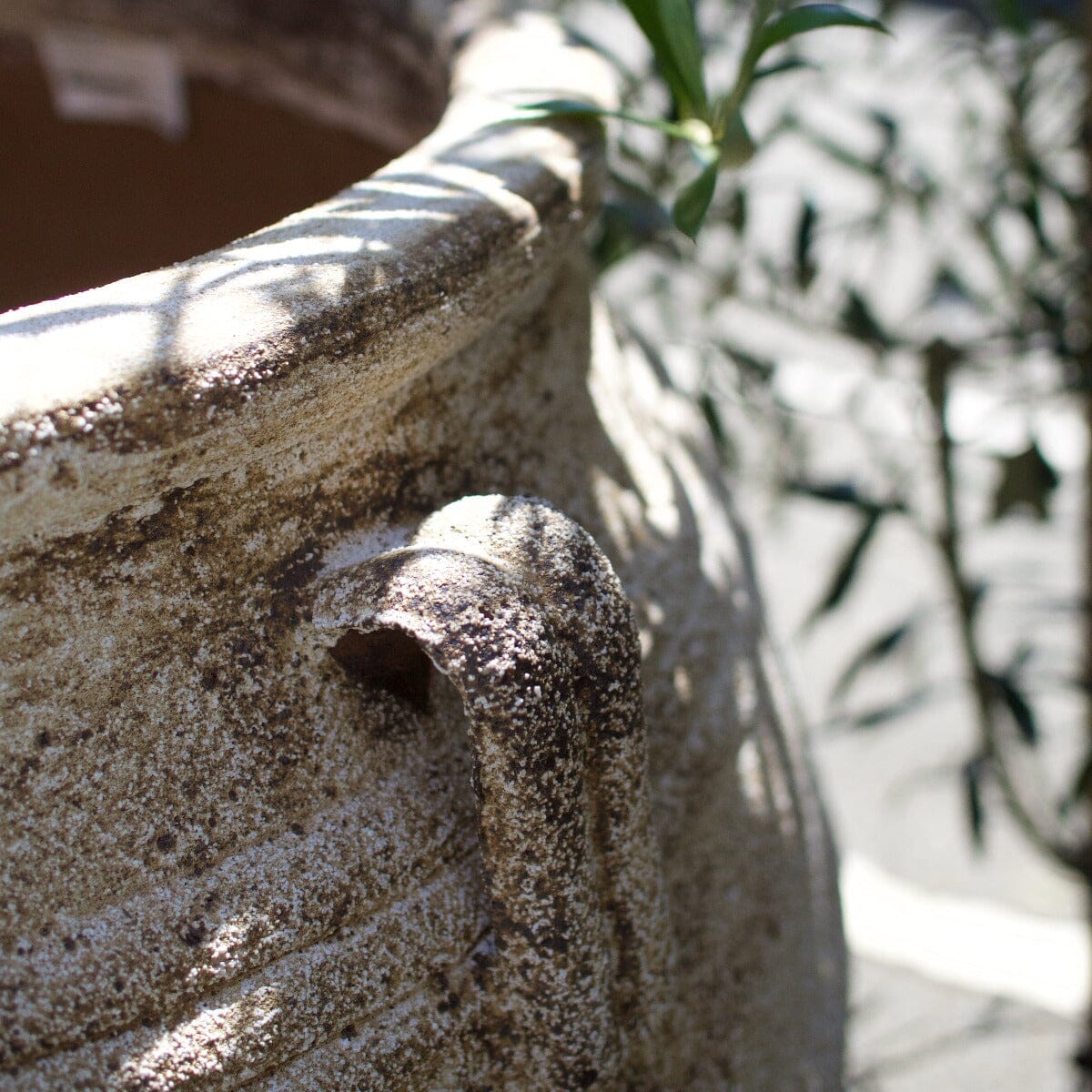 Ganache Urn with Lugs Pots - Terracotta Brookfield Gardens