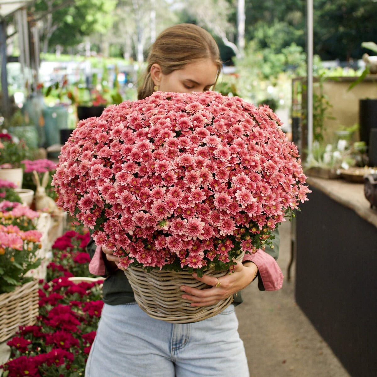 Garden Mum in Basket Hampers Brookfield Gardens
