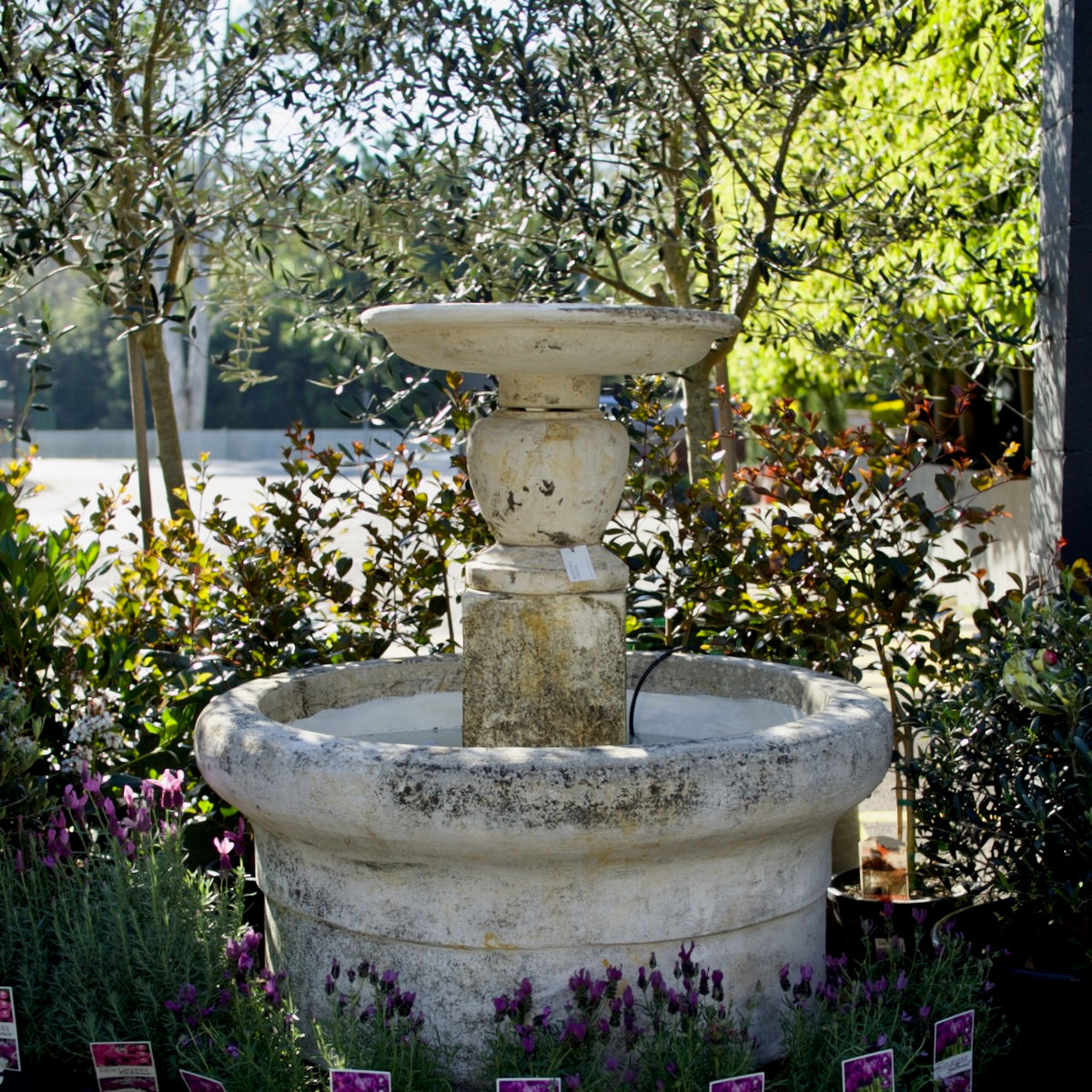 Graceville classical garden fountain with large round basin, pedestal and upper water bowl surrounded by garden planting.