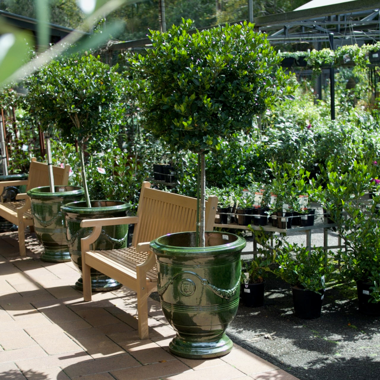 Grand Anduze Urn with a glossy emerald green glaze, styled with a feature tree at Brookfield Gardens, Brisbane.