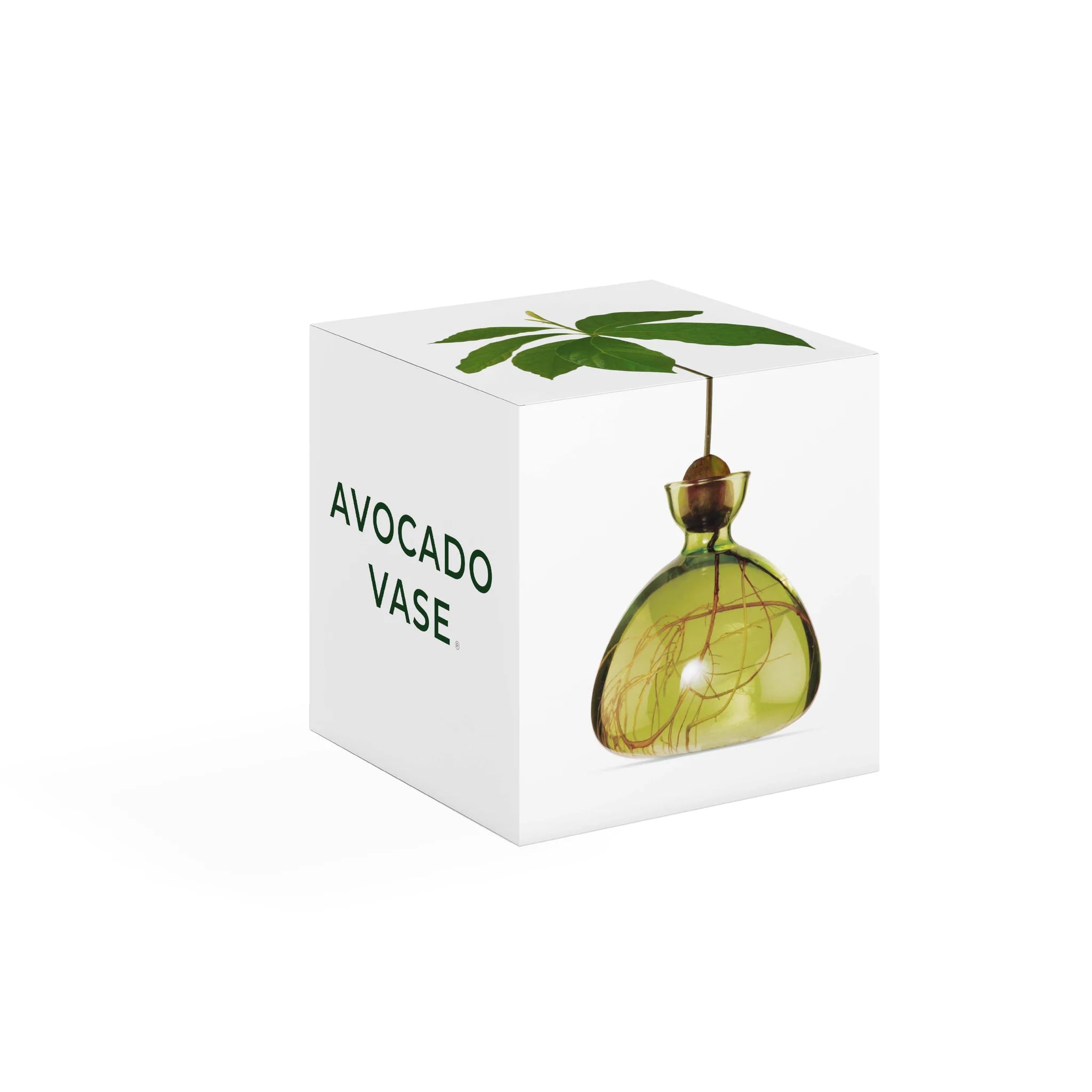 Avocado Vase Green