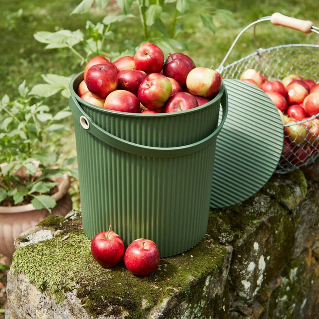 Hachiman Garden Tool Bucket 20L Hard Ware Brookfield Gardens