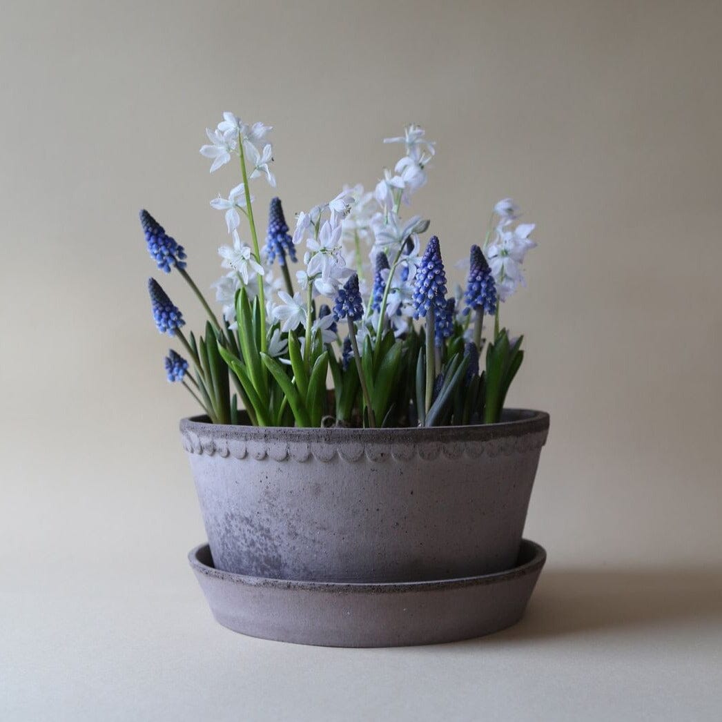 Helena Low Bowl Grey inc Saucer Pots - Berg Berg