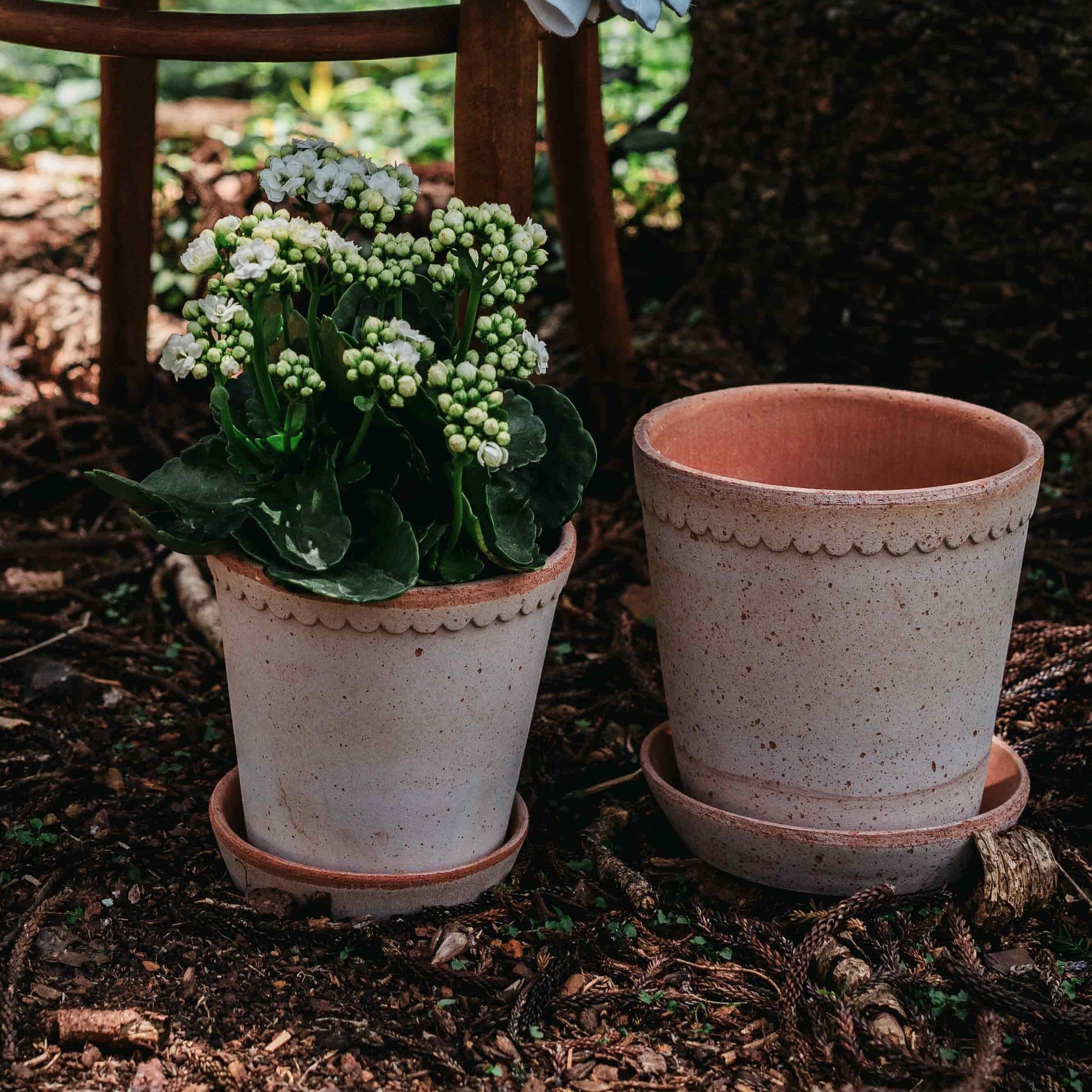 Helena Rosa inc saucer Pots - Berg Berg